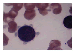 molecular-pathology