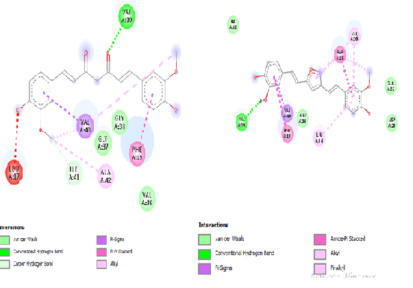 pharmaceutical-chemistry