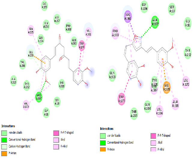 pharmaceutical-chemistry