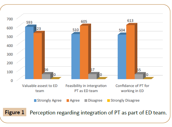 physiotherapy-integration