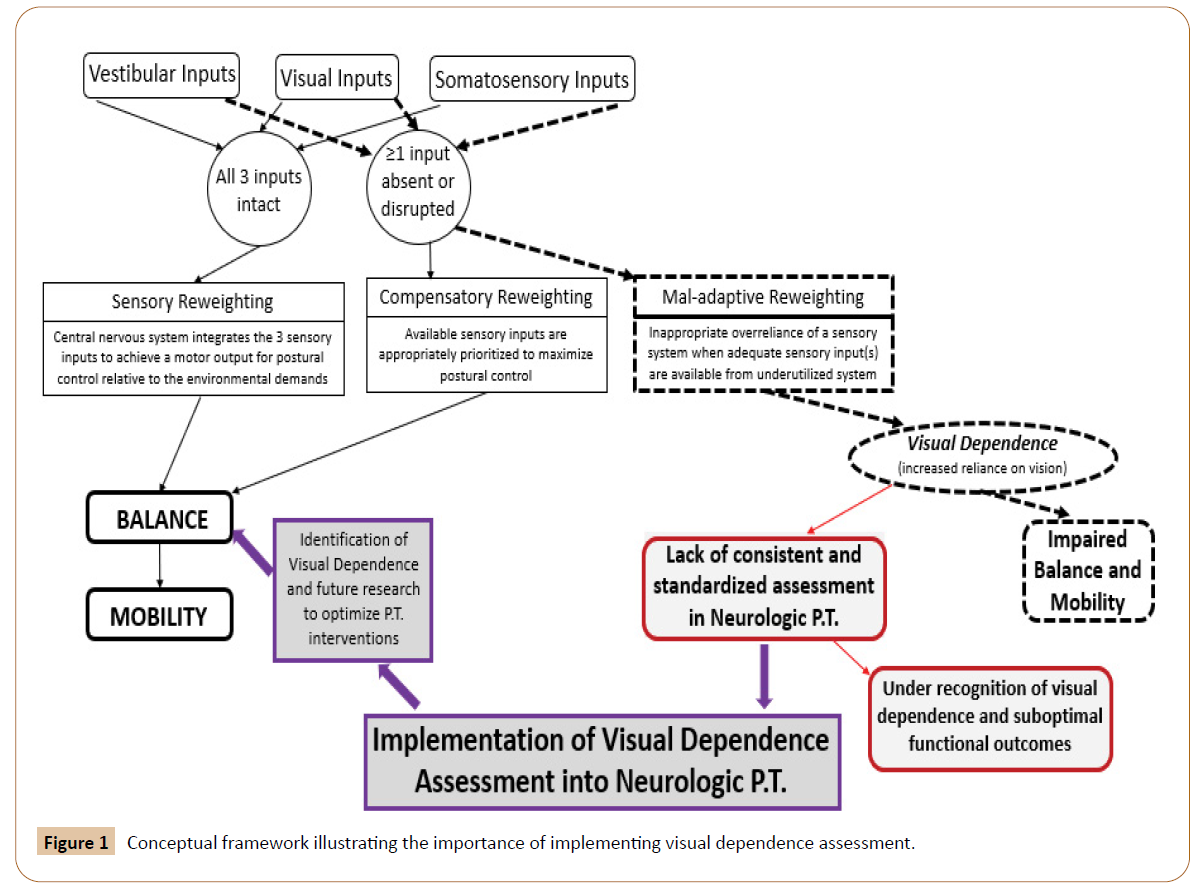 physiotherapy-research-framework-illustrating