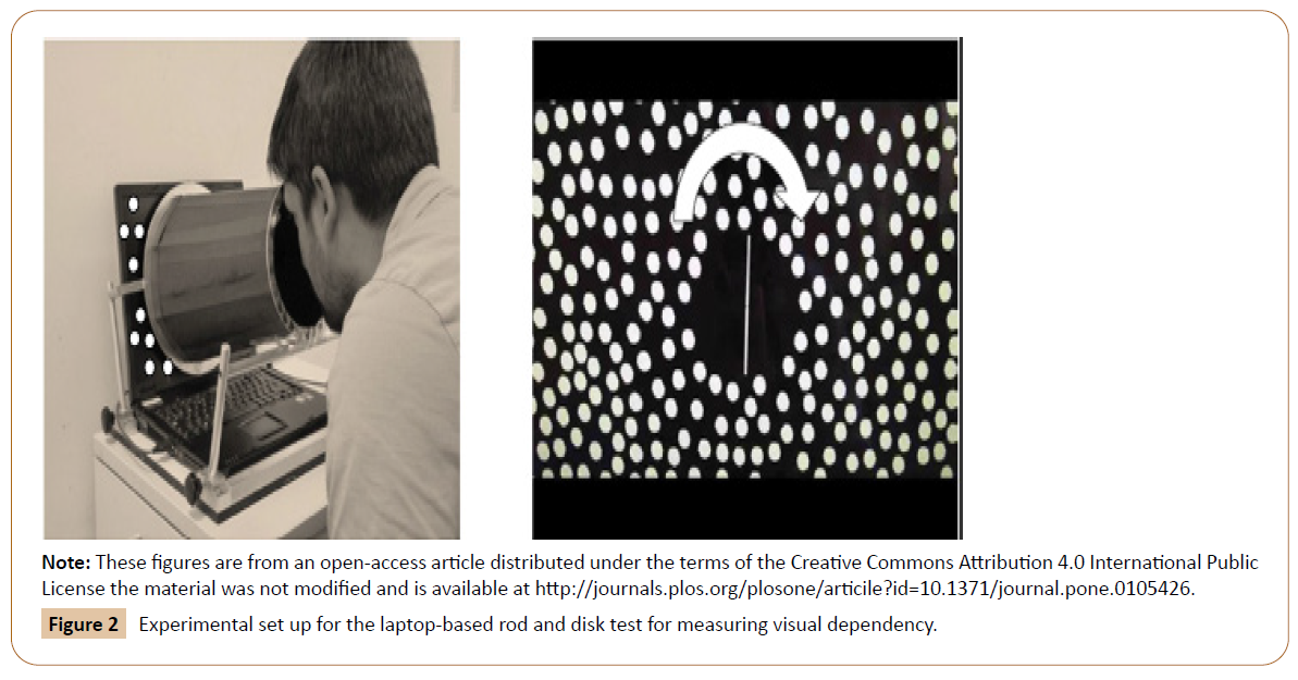 physiotherapy-research-visual-dependency