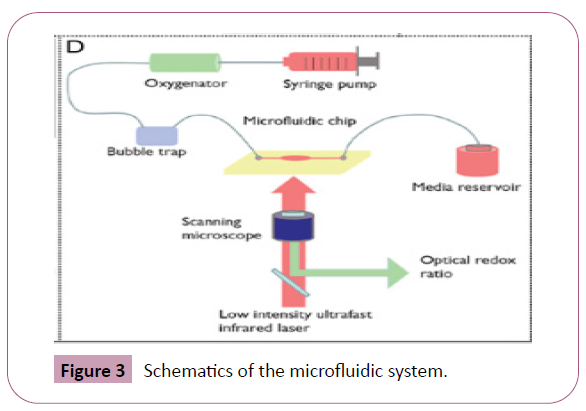 phytomedicine-clinical-therapeutics-microfluidic-system