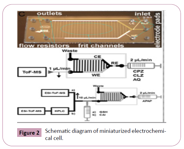 phytomedicine-clinical-therapeutics-miniaturized