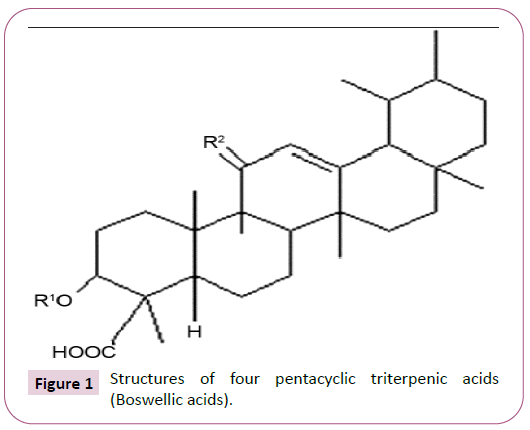 phytomedicine-clinical-therapeutics-pentacyclic-triterpenic