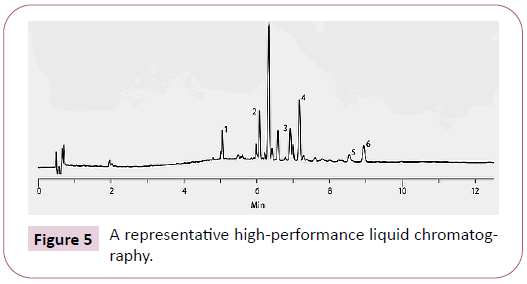 phytomedicine-clinical-therapeutics-performance-liquid