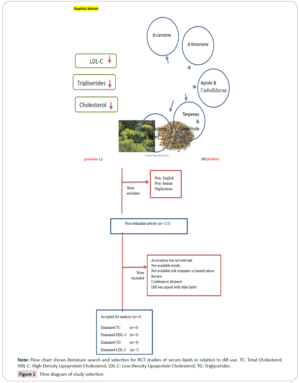 phytomedicine-clinical-therapeutics-study-selection