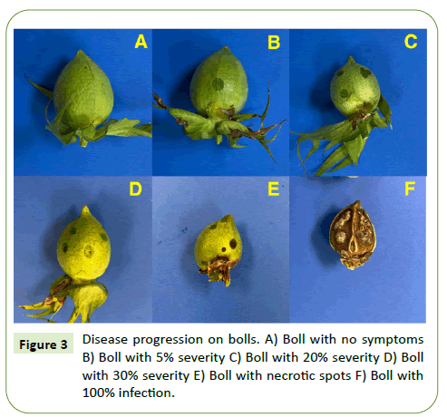 plant-pathology-disease