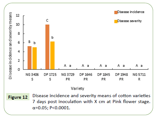 plant-pathology-flower