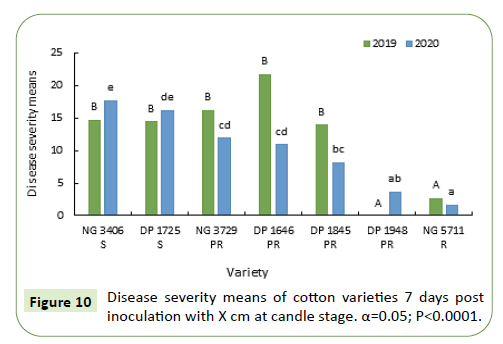 plant-pathology-stage