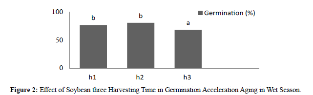 plant-science-Germination