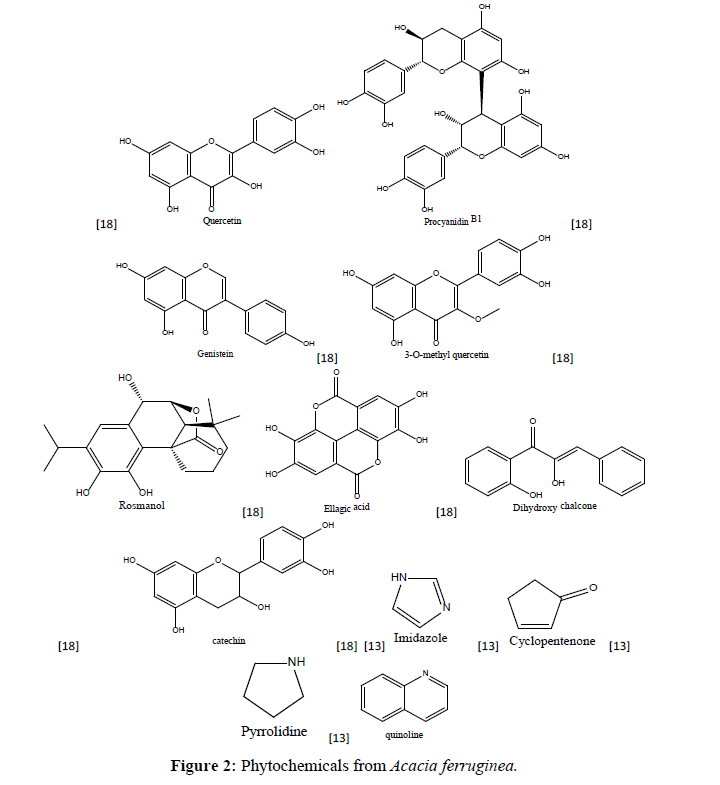 plant-science-research-phytochemicals