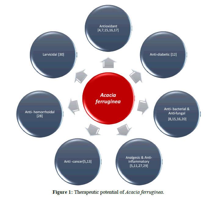 plant-science-research-therapeutic-potential