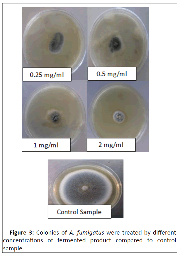 Microbiology-fermented