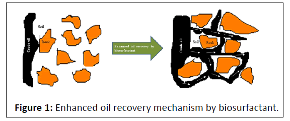 Microbiology-mechanism