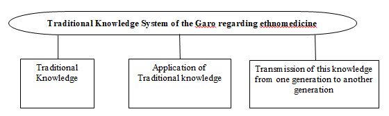 american-journal-diagram