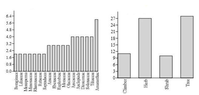 annals-biological-graph