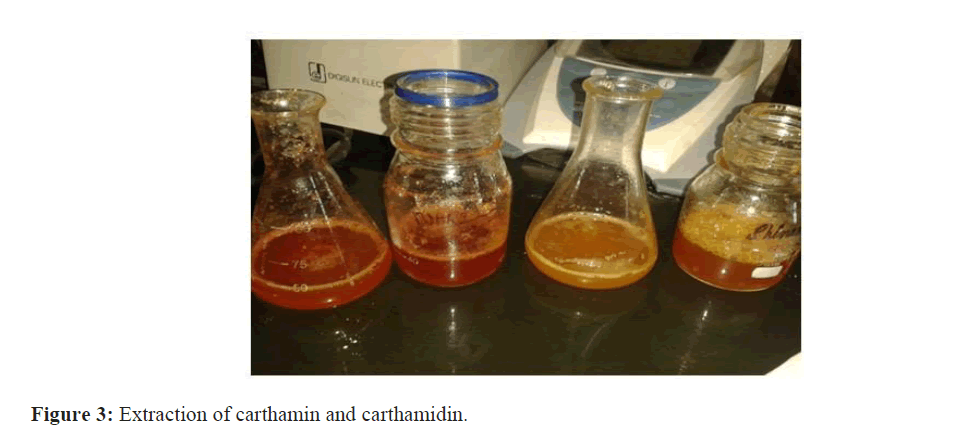 asian-journal-carthamin