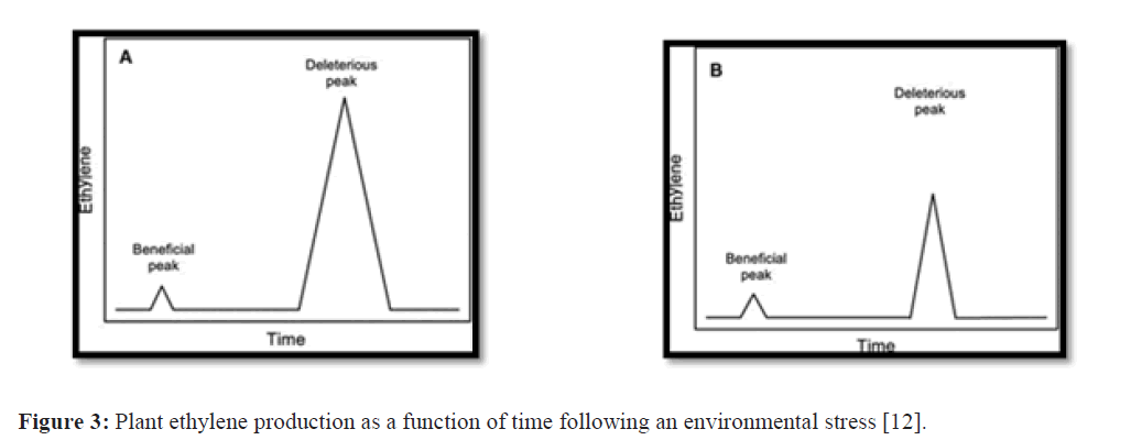 asian-journal-environmental