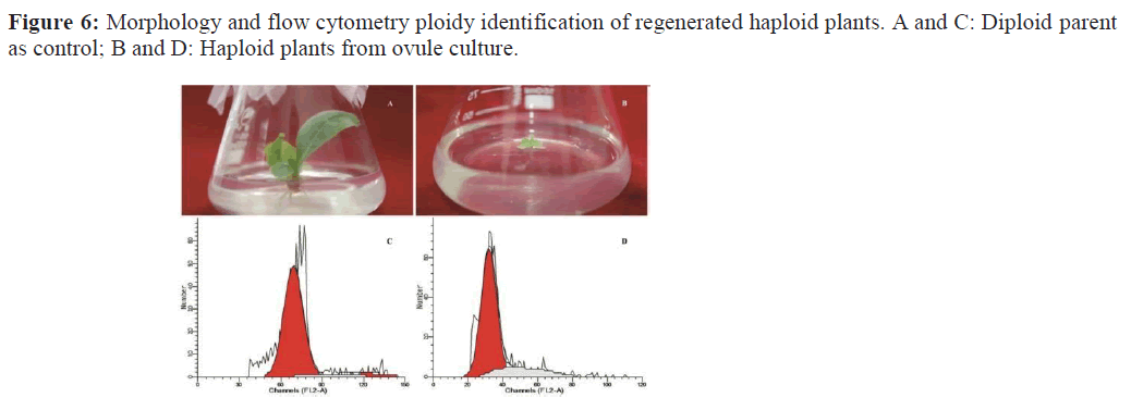 asian-journal-identification