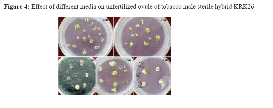 asian-journal-unfertilized