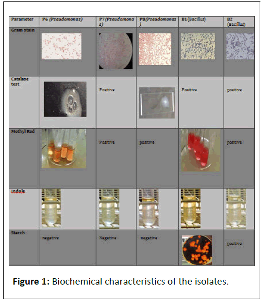 biological-characteristics