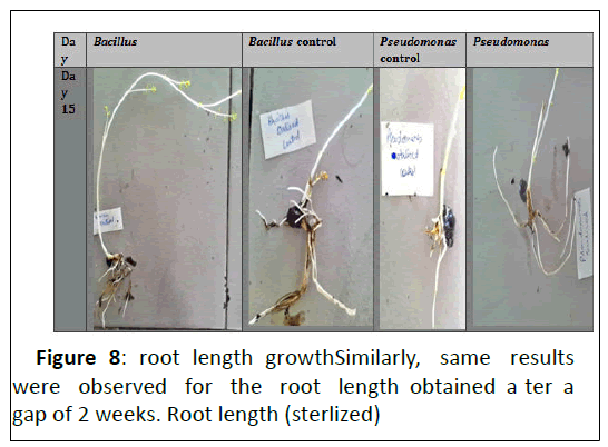 biological-growthSimilarly