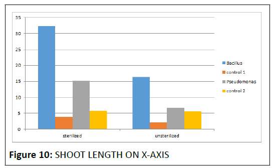 biological-length