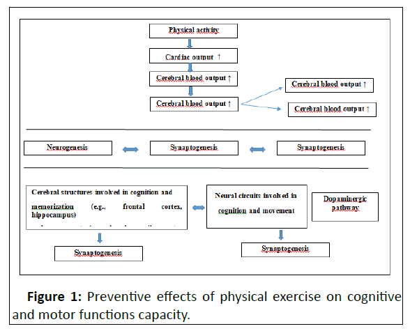 biological-physical