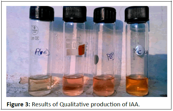 biological-qualitative