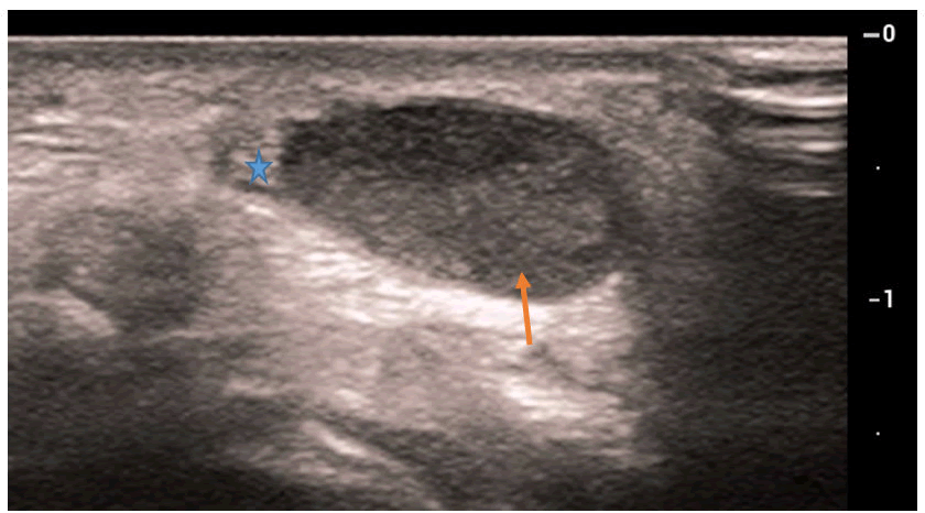 clinical-radiology-ultrasonography