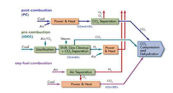 environmental-research-carbon