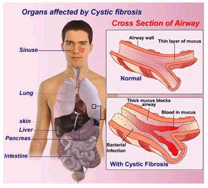 genetics-molecular-organ