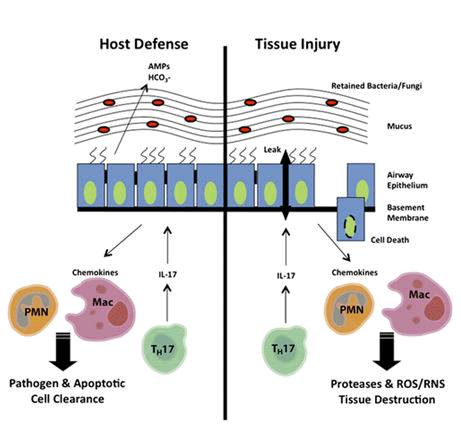 genetics-molecular-role