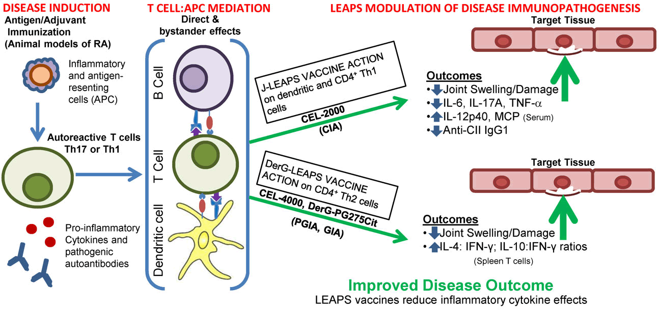 international-journal-drug-immune