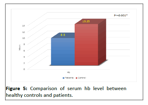 ipjmrhe-level