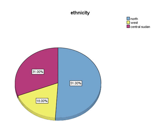 journal-clinical-ethnicity