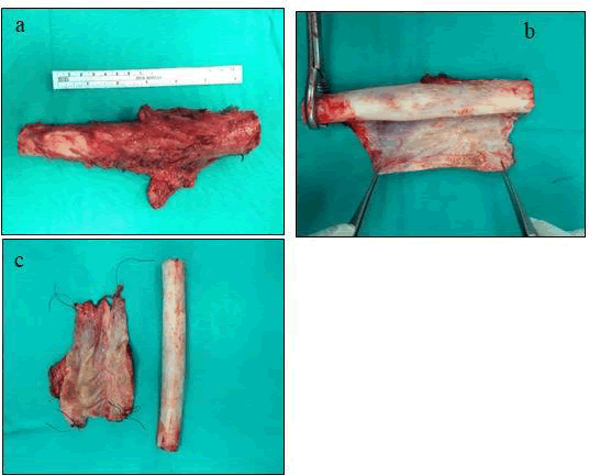 journal-clinical-image