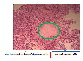 medical-case-examination