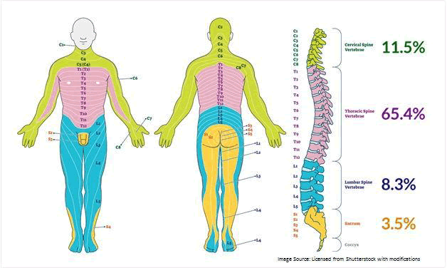 medical-case-left