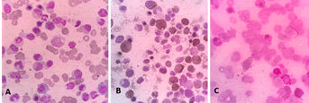 medical-case-marrow