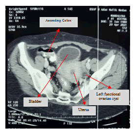 medical-case-scan