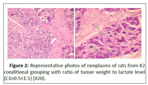 neoplasm-conditional