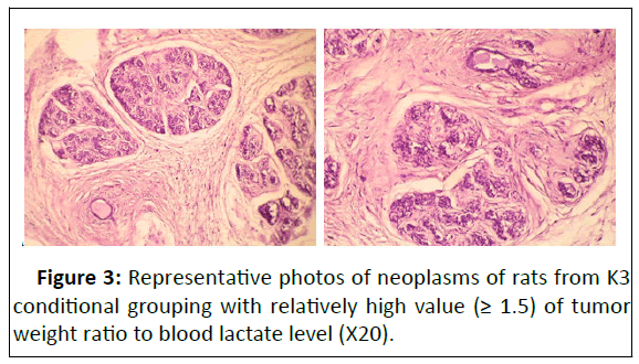 neoplasm-grouping