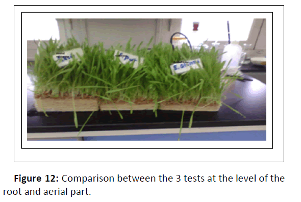 plant-sciences-aerial