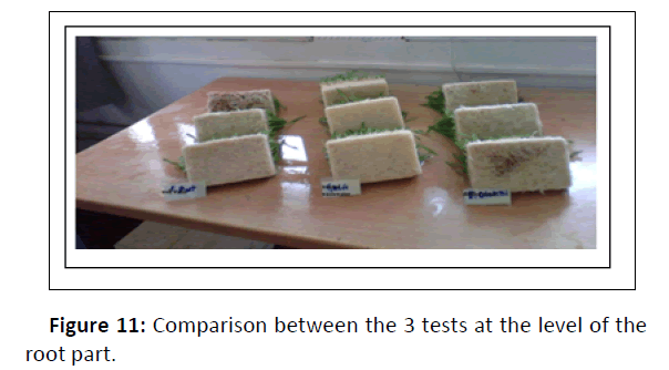 plant-sciences-comparison