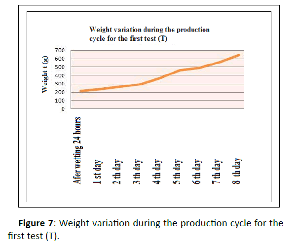 plant-sciences-production