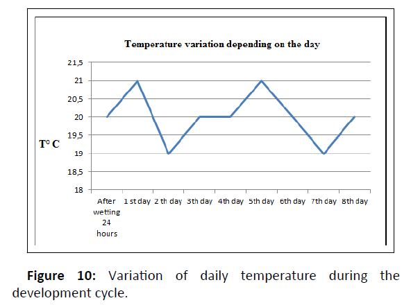 plant-sciences-temperature