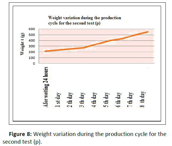 plant-sciences-weight