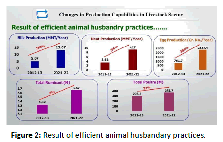 Animal-Nutrition